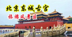 操鸡巴挤奶灌精久久中国北京-东城古宫旅游风景区